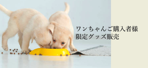 ワンちゃんご購入者様限定グッズ販売